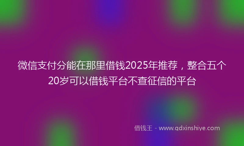 微信支付分能在那里借钱2025年推荐，整合五个20岁可以借钱平台不查征信的平台