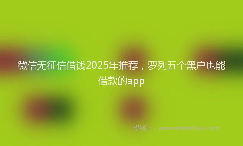 微信无征信借钱2025年推荐，罗列五个黑户也能借款的app