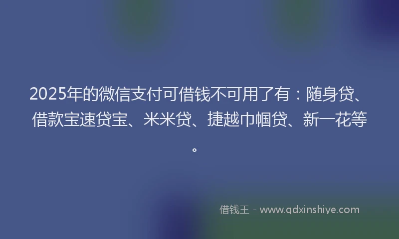 2025年的微信支付可借钱不可用了有：随身贷、借款宝速贷宝、米米贷、捷越巾帼贷、新一花等。
