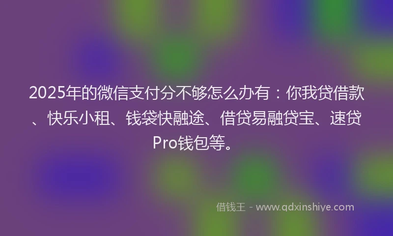 2025年的微信支付分不够怎么办有：你我贷借款、快乐小租、钱袋快融途、借贷易融贷宝、速贷Pro钱包等。