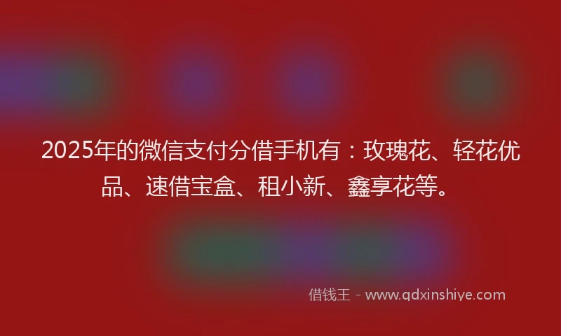 2025年的微信支付分借手机有：玫瑰花、轻花优品、速借宝盒、租小新、鑫享花等。
