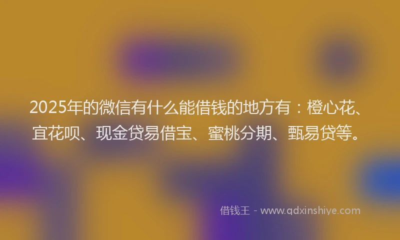 2025年的微信有什么能借钱的地方有：橙心花、宜花呗、现金贷易借宝、蜜桃分期、甄易贷等。