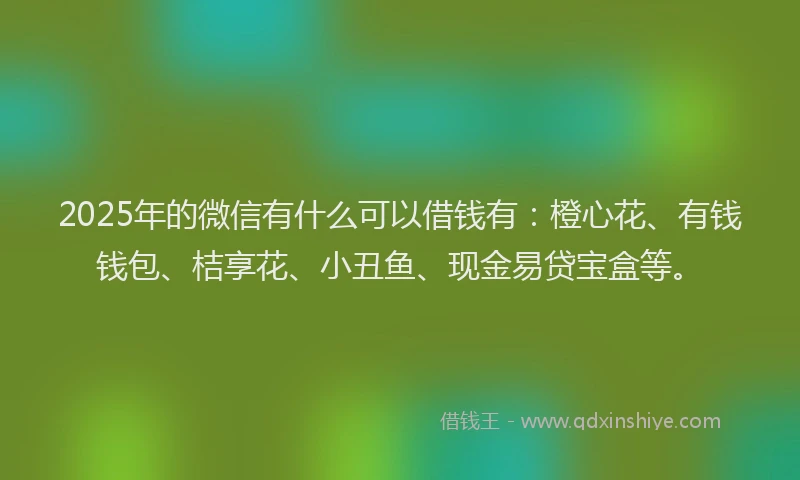 2025年的微信有什么可以借钱有：橙心花、有钱钱包、桔享花、小丑鱼、现金易贷宝盒等。