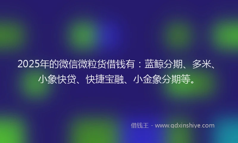 2025年的微信微粒货借钱有：蓝鲸分期、多米、小象快贷、快捷宝融、小金象分期等。