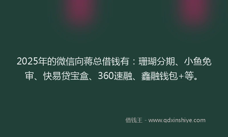 2025年的微信向蒋总借钱有：珊瑚分期、小鱼免审、快易贷宝盒、360速融、鑫融钱包+等。