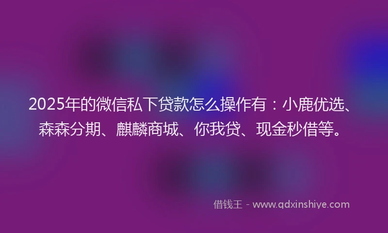 2025年的微信私下贷款怎么操作有：小鹿优选、森森分期、麒麟商城、你我贷、现金秒借等。