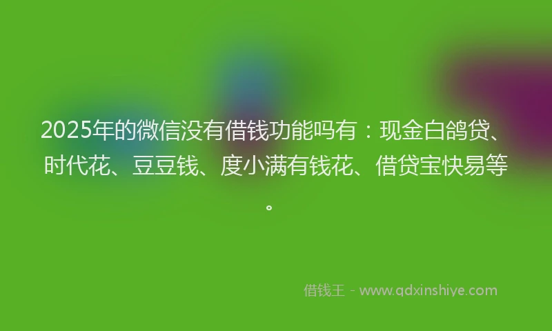 2025年的微信没有借钱功能吗有：现金白鸽贷、时代花、豆豆钱、度小满有钱花、借贷宝快易等。