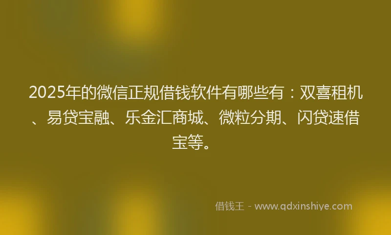 2025年的微信正规借钱软件有哪些有：双喜租机、易贷宝融、乐金汇商城、微粒分期、闪贷速借宝等。