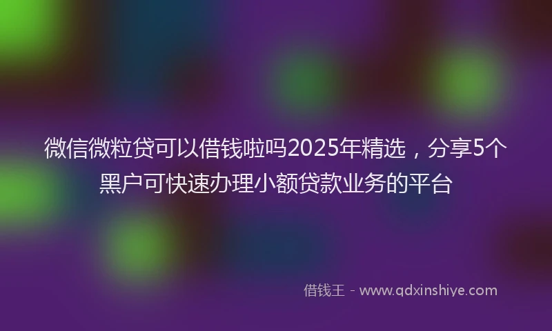 微信微粒贷可以借钱啦吗2025年精选，分享5个黑户可快速办理小额贷款业务的平台