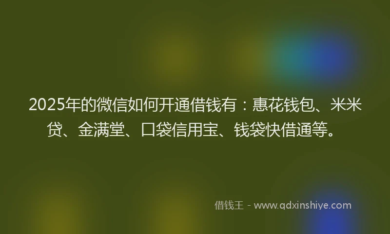 2025年的微信如何开通借钱有：惠花钱包、米米贷、金满堂、口袋信用宝、钱袋快借通等。