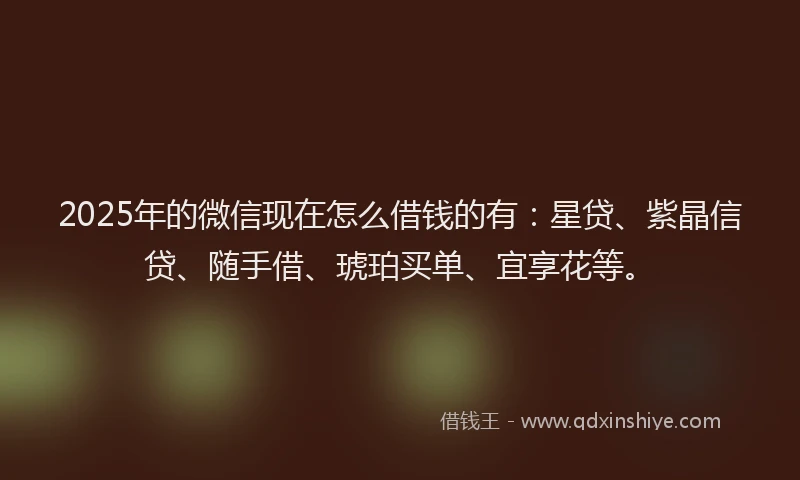 2025年的微信现在怎么借钱的有：星贷、紫晶信贷、随手借、琥珀买单、宜享花等。