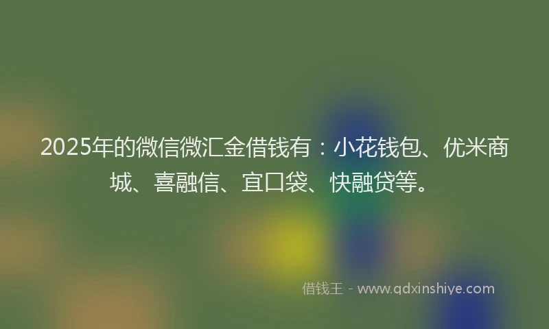 2025年的微信微汇金借钱有：小花钱包、优米商城、喜融信、宜口袋、快融贷等。