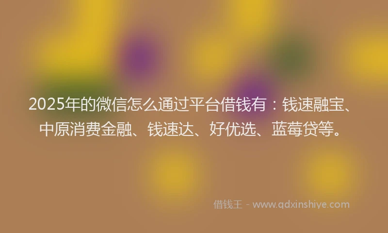2025年的微信怎么通过平台借钱有：钱速融宝、中原消费金融、钱速达、好优选、蓝莓贷等。