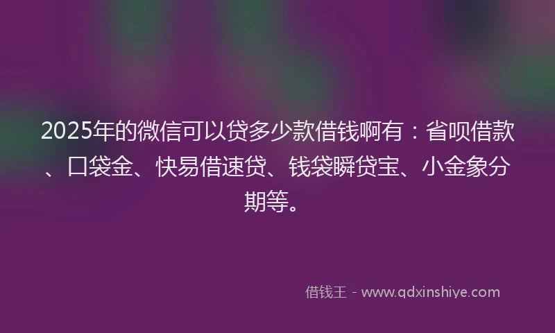 2025年的微信可以贷多少款借钱啊有：省呗借款、口袋金、快易借速贷、钱袋瞬贷宝、小金象分期等。