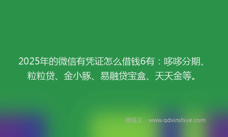 2025年的微信有凭证怎么借钱6有：哆哆分期、粒粒贷、金小豚、易融贷宝盒、天天金等。