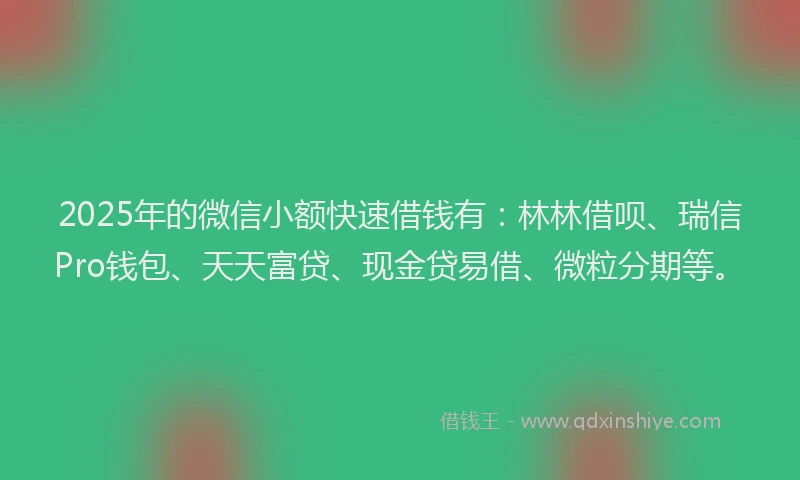 2025年的微信小额快速借钱有：林林借呗、瑞信Pro钱包、天天富贷、现金贷易借、微粒分期等。