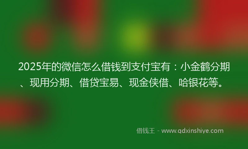 2025年的微信怎么借钱到支付宝有：小金鹤分期、现用分期、借贷宝易、现金侠借、哈银花等。