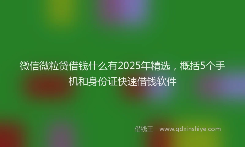 微信微粒贷借钱什么有2025年精选，概括5个手机和身份证快速借钱软件