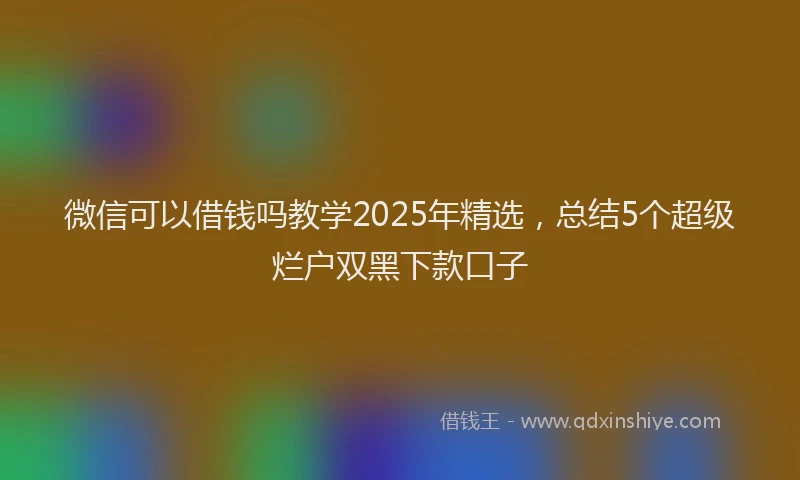 微信可以借钱吗教学2025年精选，总结5个超级烂户双黑下款口子