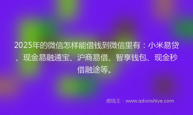 2025年的微信怎样能借钱到微信里有：小米易贷、现金易融通宝、沪商易借、智享钱包、现金秒借融途等。