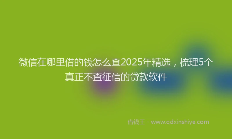 微信在哪里借的钱怎么查2025年精选，梳理5个真正不查征信的贷款软件