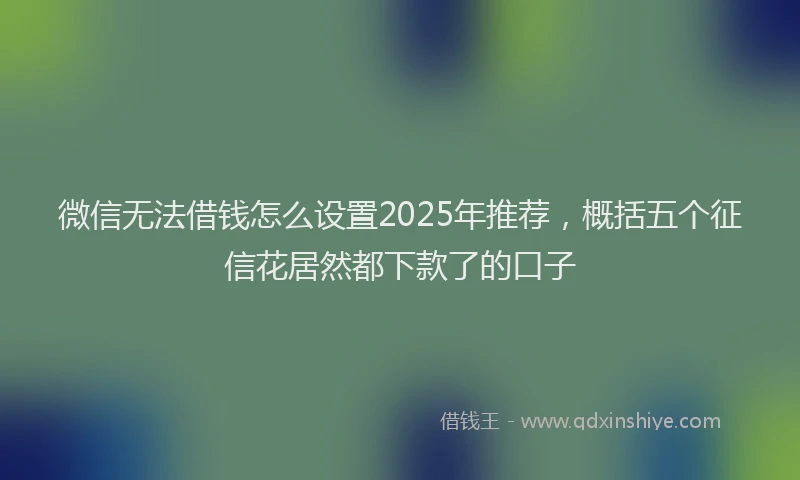 微信无法借钱怎么设置2025年推荐，概括五个征信花居然都下款了的口子
