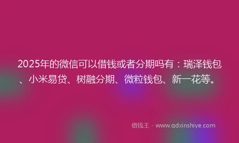 2025年的微信可以借钱或者分期吗有:瑞泽钱包、小米易贷、树融分期、微粒钱包、新一花等。