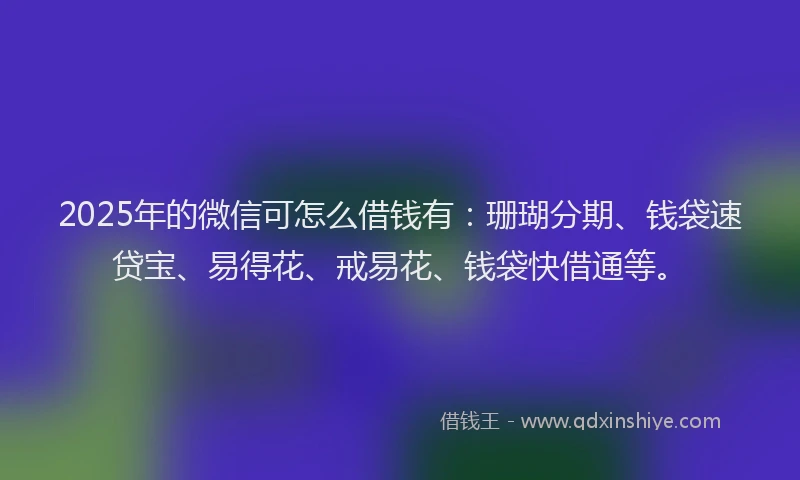 2025年的微信可怎么借钱有：珊瑚分期、钱袋速贷宝、易得花、戒易花、钱袋快借通等。