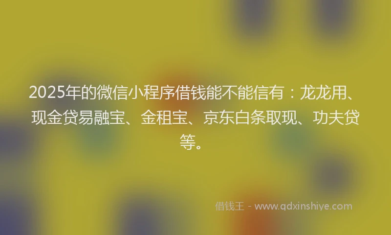 2025年的微信小程序借钱能不能信有：龙龙用、现金贷易融宝、金租宝、京东白条取现、功夫贷等。
