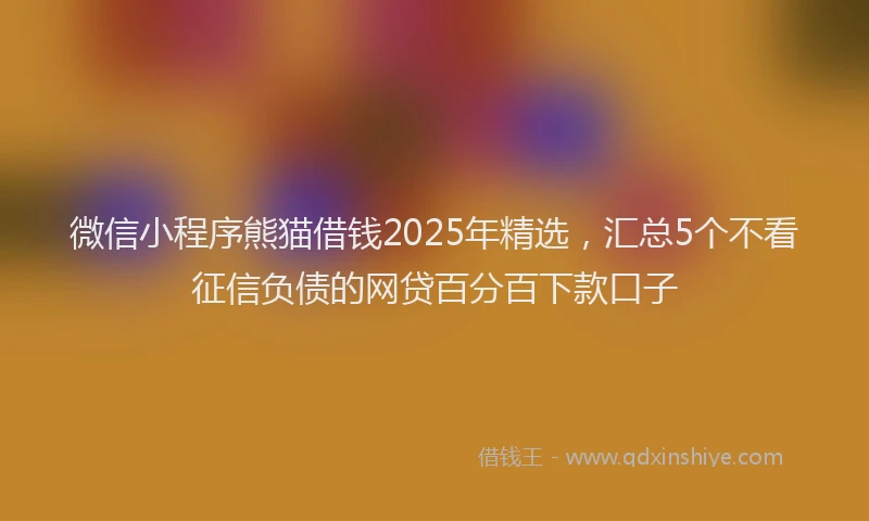 微信小程序熊猫借钱2025年精选，汇总5个不看征信负债的网贷百分百下款口子