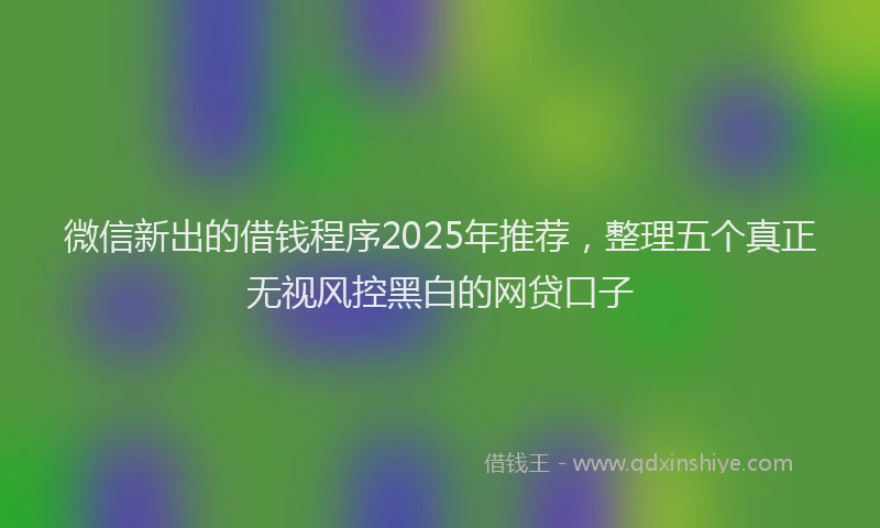 微信新出的借钱程序2025年推荐，整理五个真正无视风控黑白的网贷口子