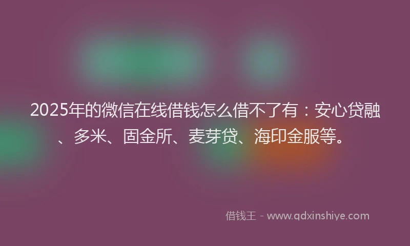 2025年的微信在线借钱怎么借不了有：安心贷融、多米、固金所、麦芽贷、海印金服等。