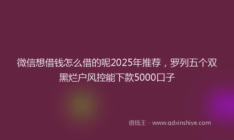 微信想借钱怎么借的呢2025年推荐，罗列五个双黑烂户风控能下款5000口子