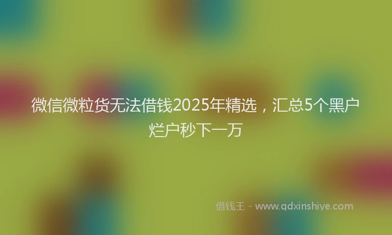 微信微粒货无法借钱2025年精选，汇总5个黑户烂户秒下一万