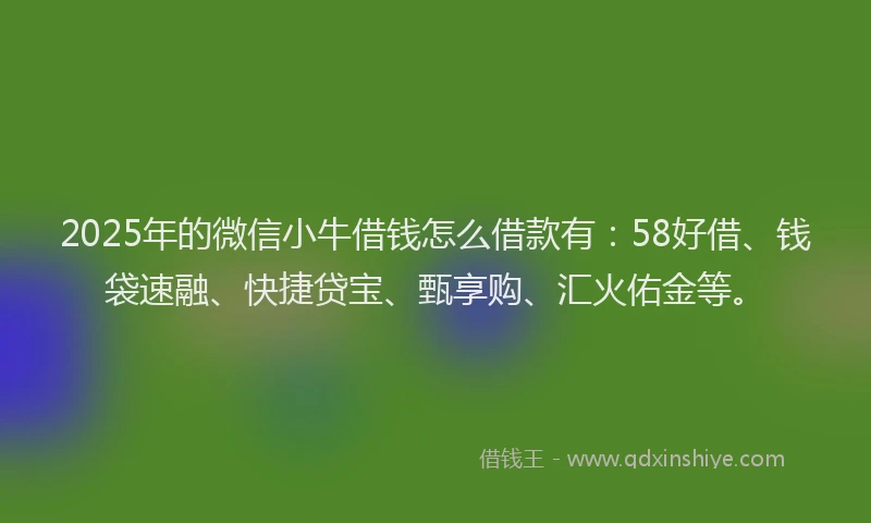 2025年的微信小牛借钱怎么借款有：58好借、钱袋速融、快捷贷宝、甄享购、汇火佑金等。