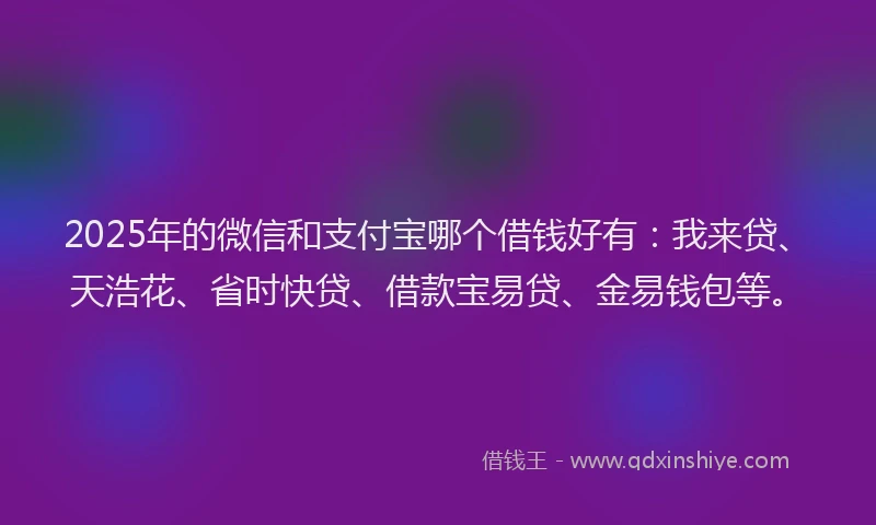 2025年的微信和支付宝哪个借钱好有：我来贷、天浩花、省时快贷、借款宝易贷、金易钱包等。