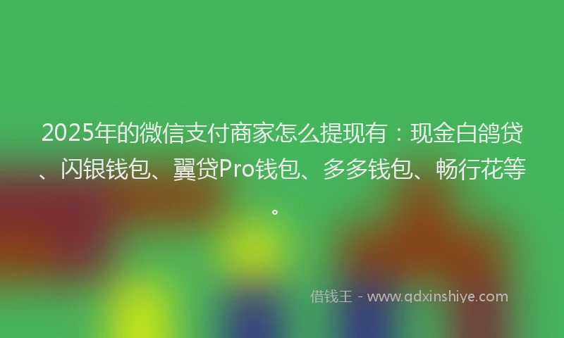 2025年的微信支付商家怎么提现有：现金白鸽贷、闪银钱包、翼贷Pro钱包、多多钱包、畅行花等。