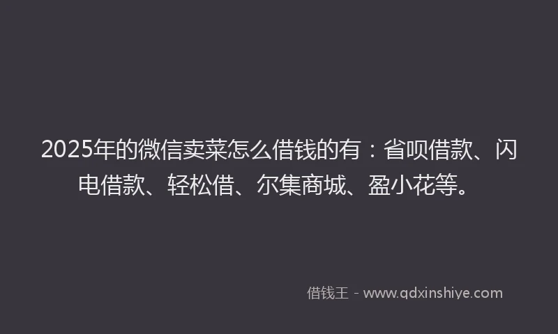2025年的微信卖菜怎么借钱的有：省呗借款、闪电借款、轻松借、尔集商城、盈小花等。