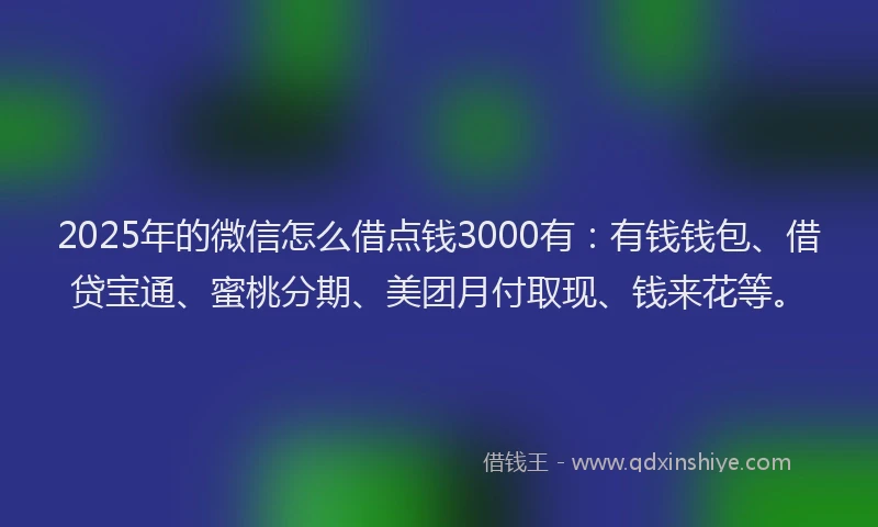 2025年的微信怎么借点钱3000有：有钱钱包、借贷宝通、蜜桃分期、美团月付取现、钱来花等。
