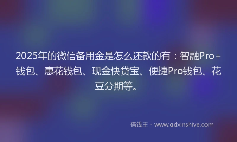 2025年的微信备用金是怎么还款的有：智融Pro+钱包、惠花钱包、现金快贷宝、便捷Pro钱包、花豆分期等。