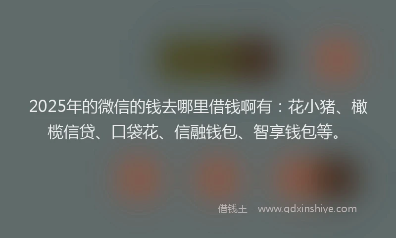 2025年的微信的钱去哪里借钱啊有：花小猪、橄榄信贷、口袋花、信融钱包、智享钱包等。
