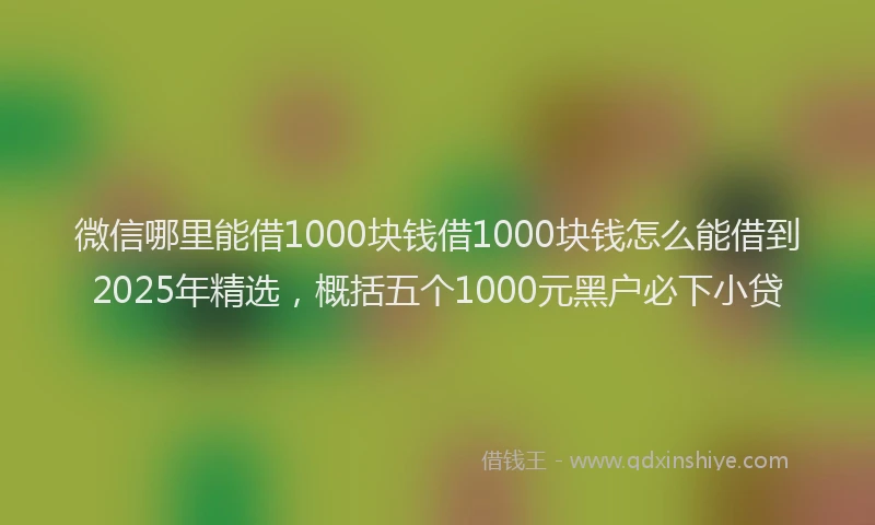 微信哪里能借1000块钱借1000块钱怎么能借到2025年精选，概括五个1000元黑户必下小贷