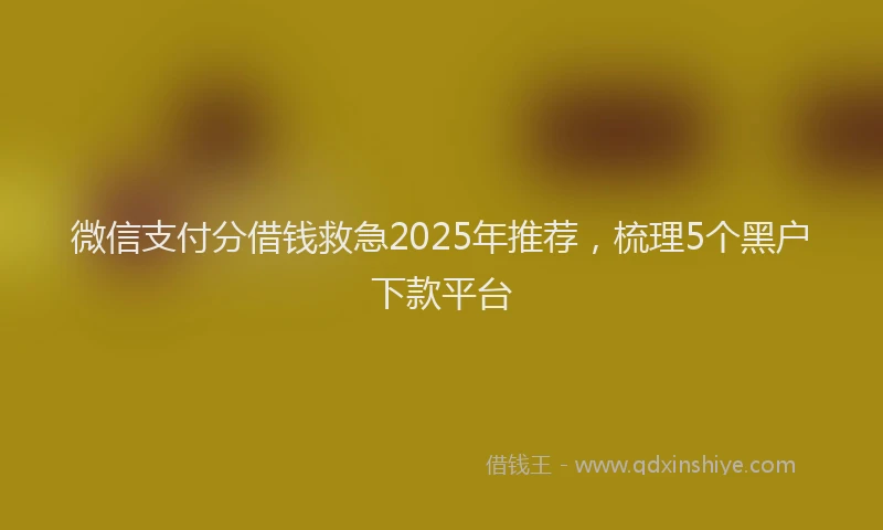 微信支付分借钱救急2025年推荐，梳理5个黑户下款平台