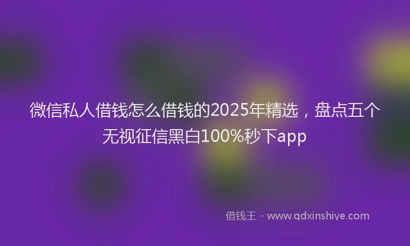 微信私人借钱怎么借钱的2025年精选，盘点五个无视征信黑白100%秒下app