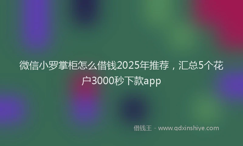 微信小罗掌柜怎么借钱2025年推荐，汇总5个花户3000秒下款app