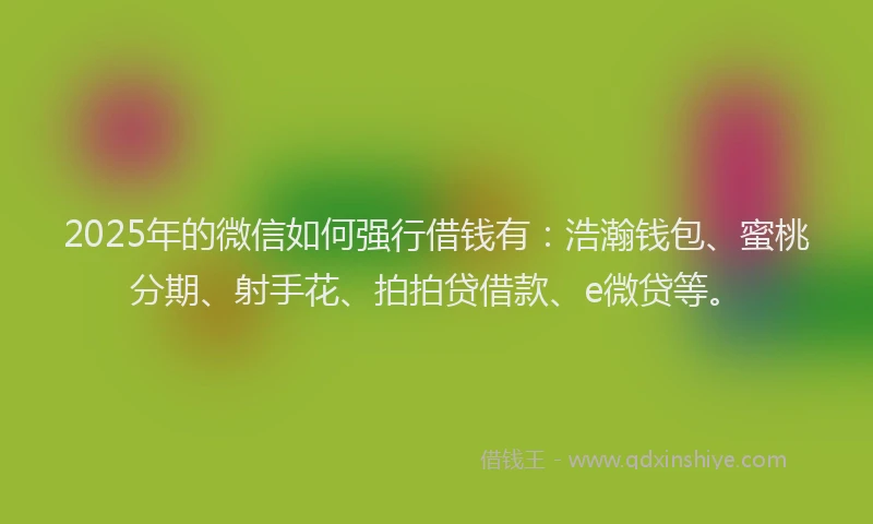 2025年的微信如何强行借钱有：浩瀚钱包、蜜桃分期、射手花、拍拍贷借款、e微贷等。