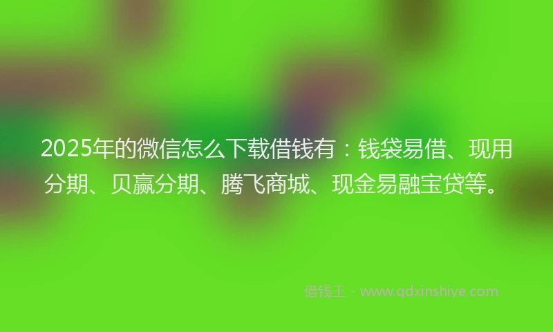 2025年的微信怎么下载借钱有：钱袋易借、现用分期、贝赢分期、腾飞商城、现金易融宝贷等。