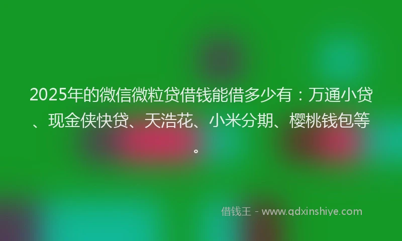 2025年的微信微粒贷借钱能借多少有：万通小贷、现金侠快贷、天浩花、小米分期、樱桃钱包等。
