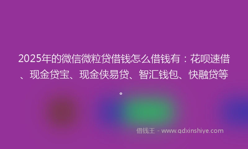 2025年的微信微粒贷借钱怎么借钱有：花呗速借、现金贷宝、现金侠易贷、智汇钱包、快融贷等。