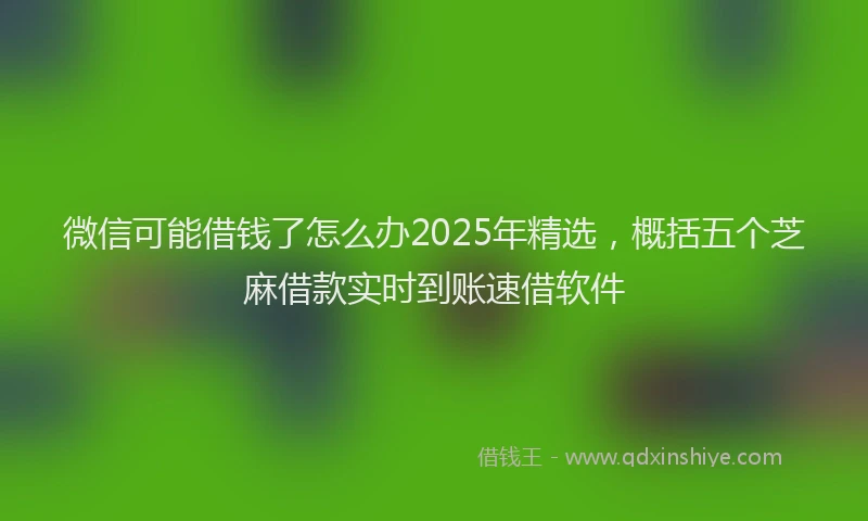 微信可能借钱了怎么办2025年精选，概括五个芝麻借款实时到账速借软件